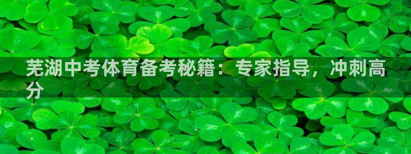 耀世娱乐登陆官网网址：芜湖中考体育备考秘籍：专家指导