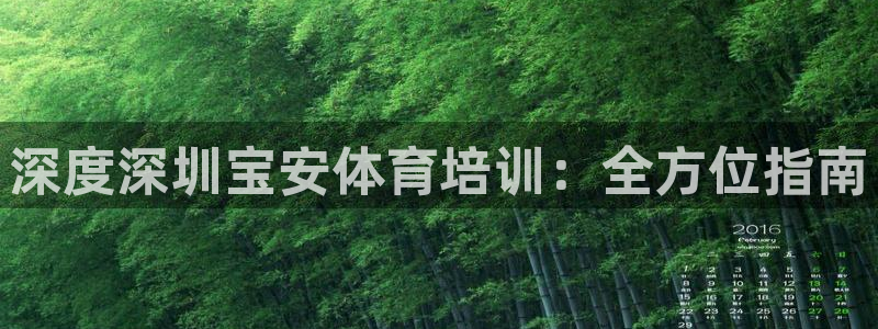 耀世国际平台正规吗安全吗：深度深圳宝安体育培训：全方