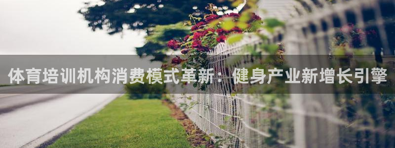 耀世娱乐平台官网登录入口网址：体育培训机构消费模式革